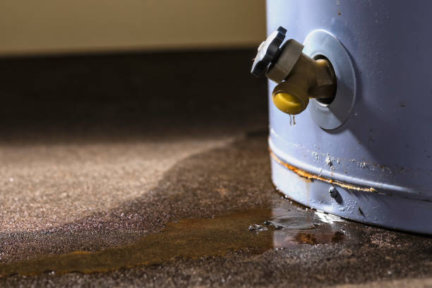 Best Mold removal after water damage  in Bullhead City, AZ