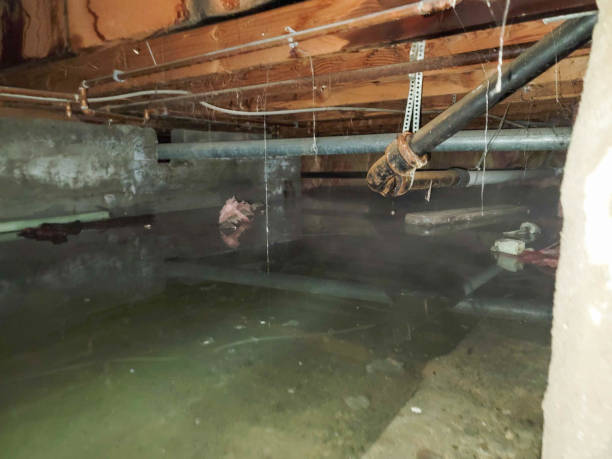 Fire Damage Restoration in AZ