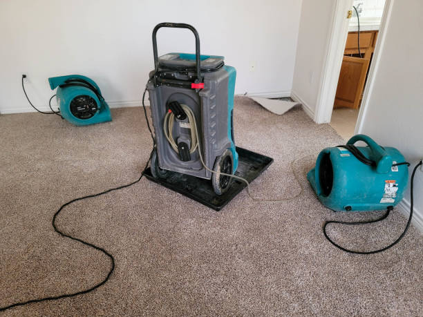 Best Flood restoration services  in Bullhead City, AZ