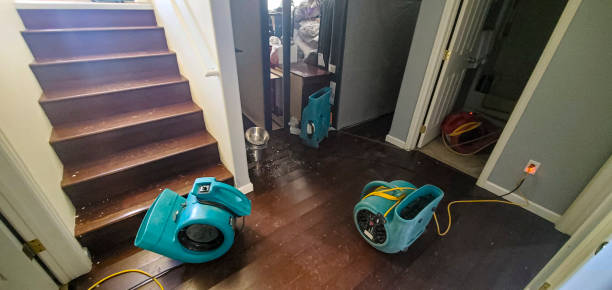 Best Water damage restoration near me  in Bullhead City, AZ