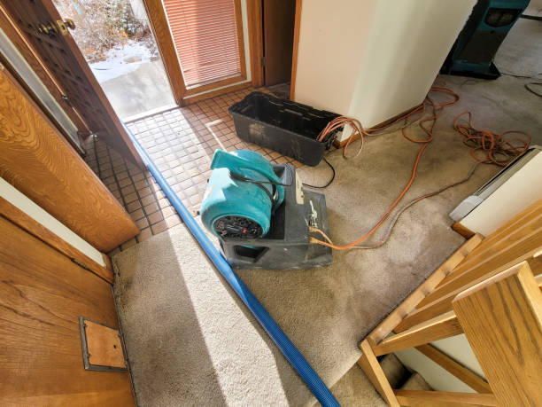 Best Ceiling water damage repair  in Bullhead City, AZ