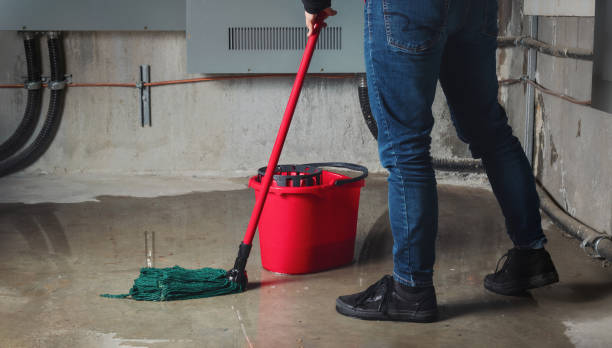 Best Fire Damage Restoration  in Bullhead City, AZ