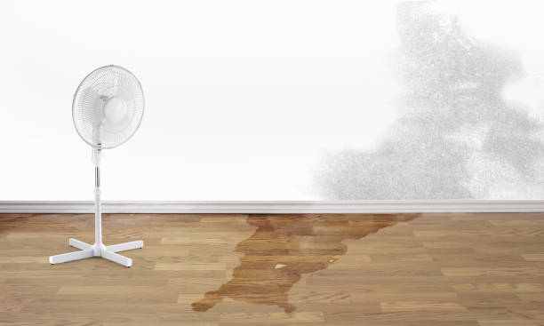  Bullhead City, AZ Water damage restoration Pros