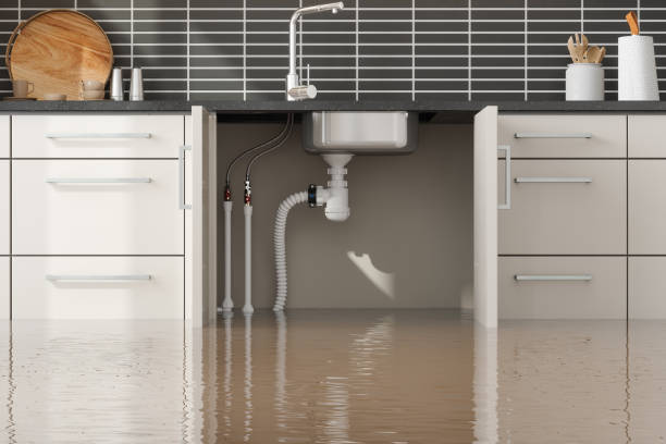Best Carpet water damage restoration  in Bullhead City, AZ